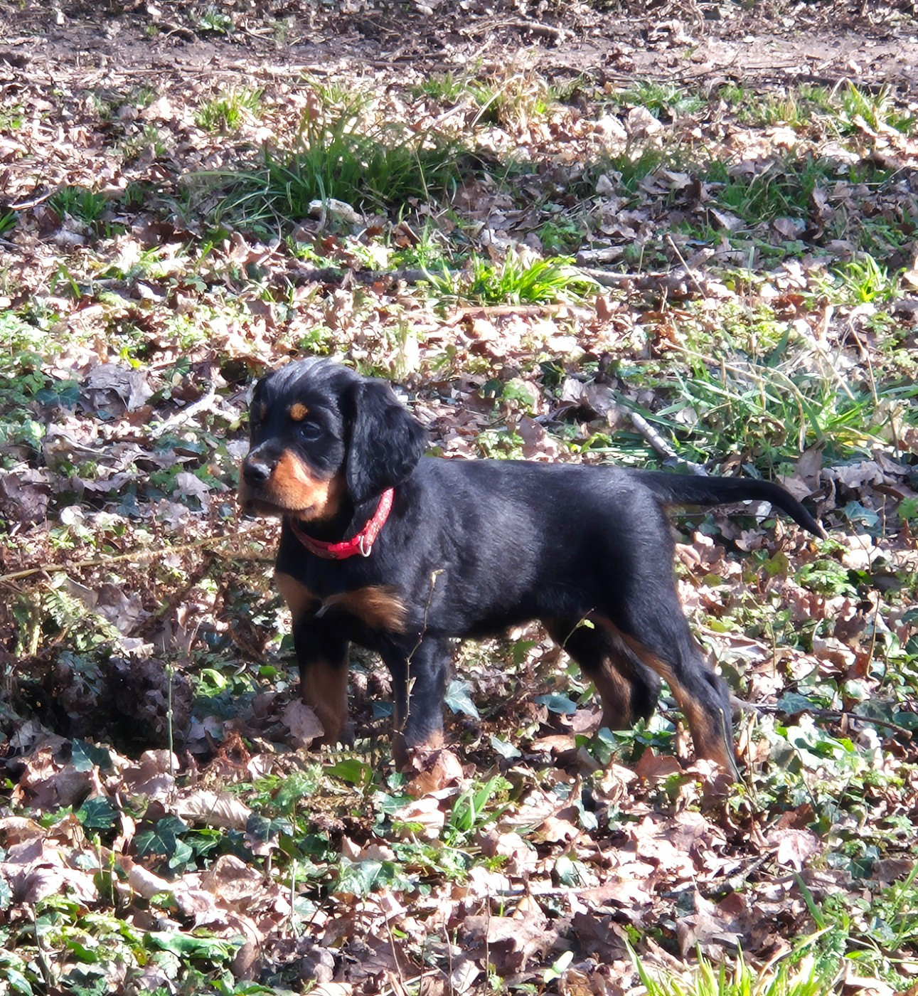 7 semaines... Déjà...