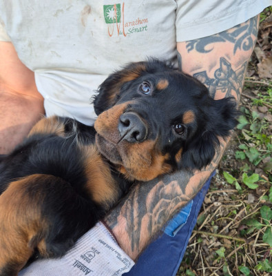 Burpy