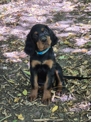 Bella